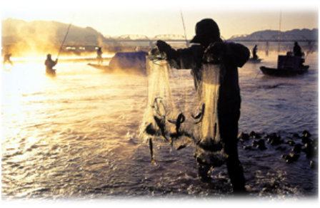 鮎漁の写真